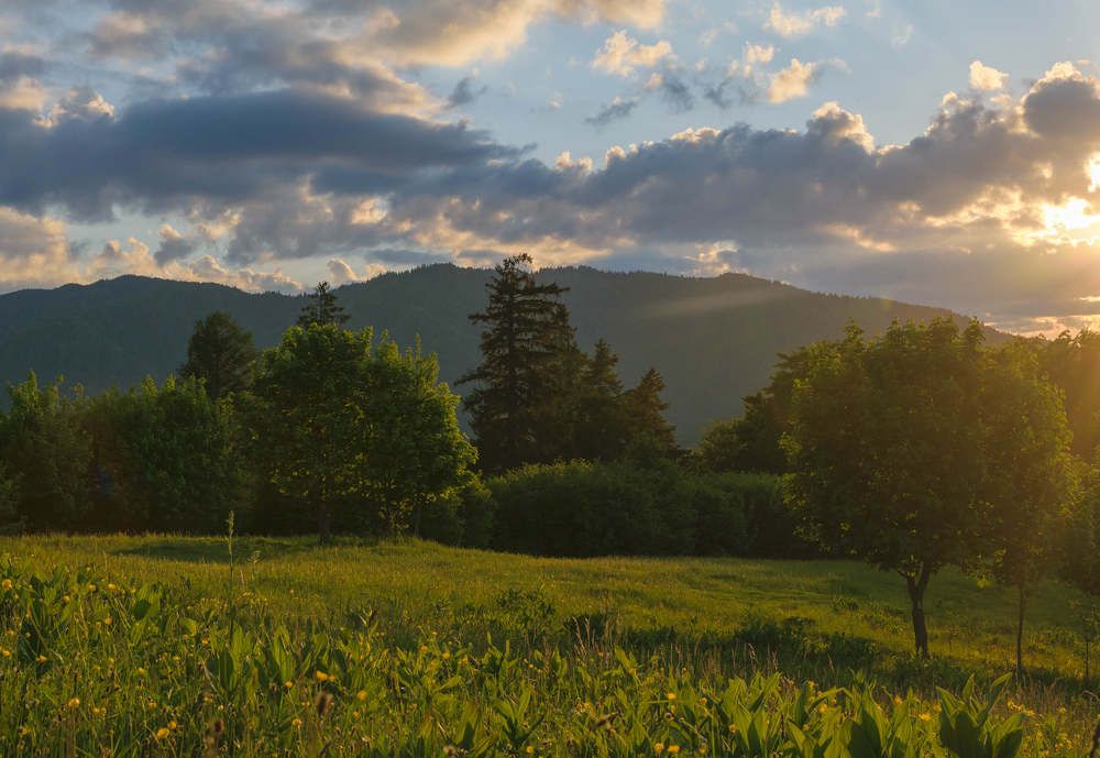 Фотография автора Libardi Gino