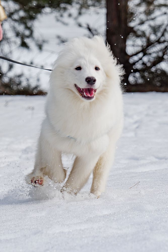 Photograph by  Максим