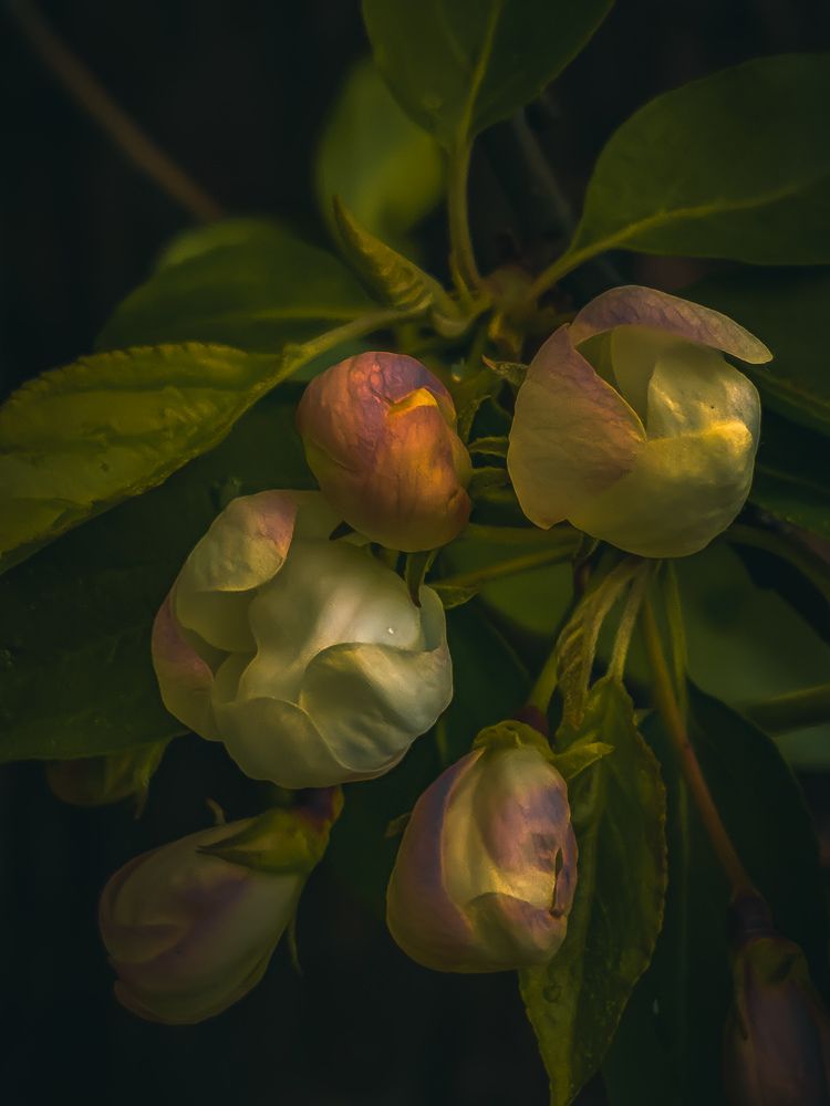 Фотография автора Олег Данилевский