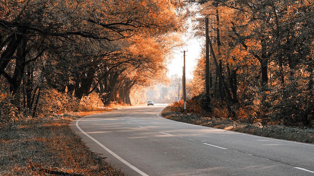 Фотография автора Игорь Хлибович