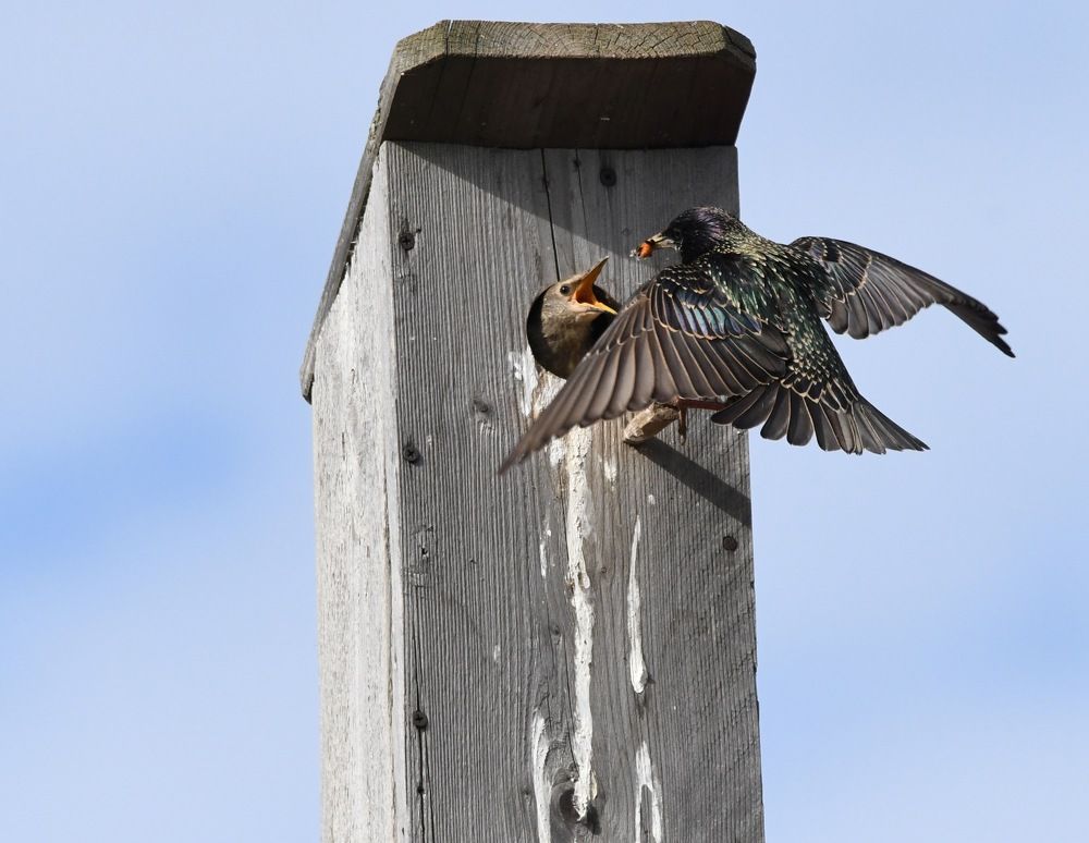 Обед по расписанию