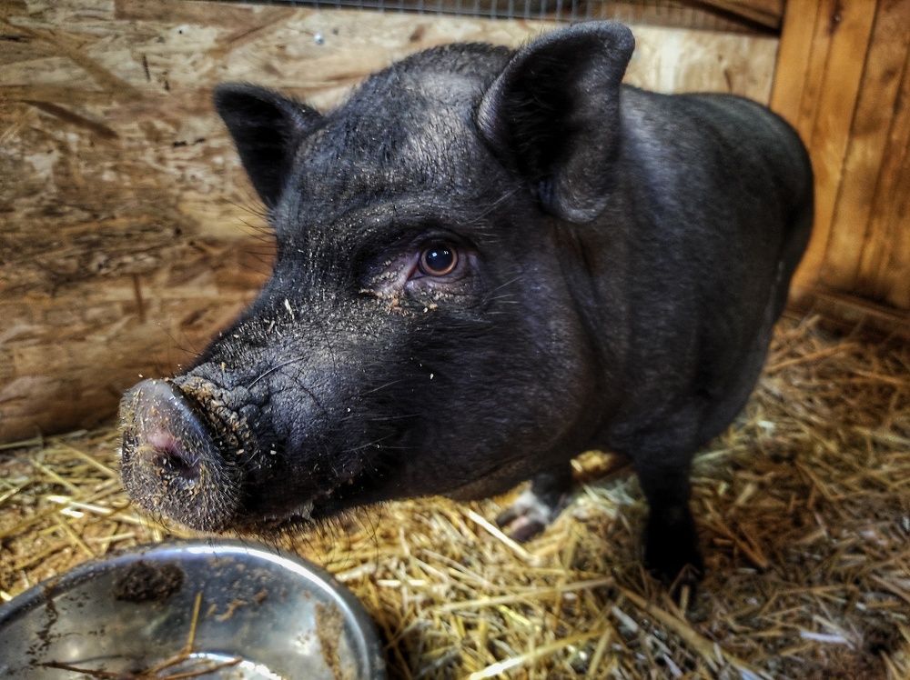 Photograph by Артем Авдеев