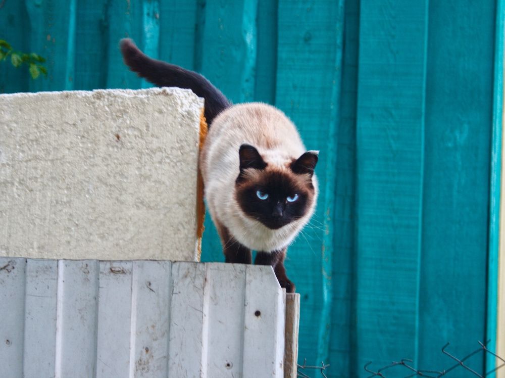 Photograph by Артем Авдеев