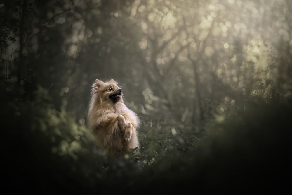 Photograph by Deise de Oliveira