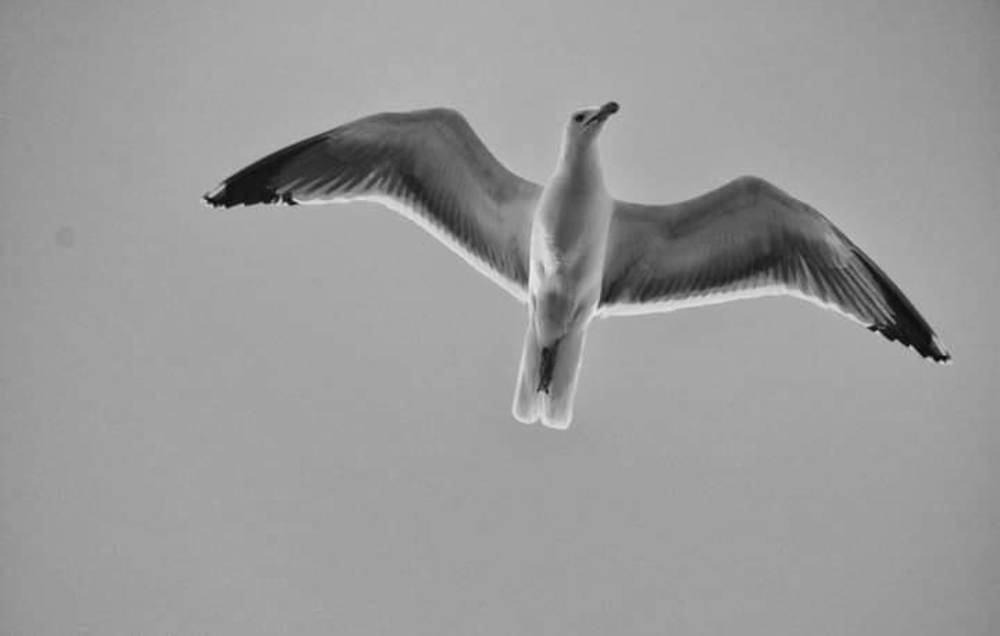 Photograph by soumaya boulati