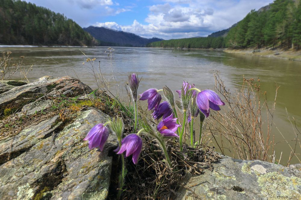 Фотография автора Владимир Русских