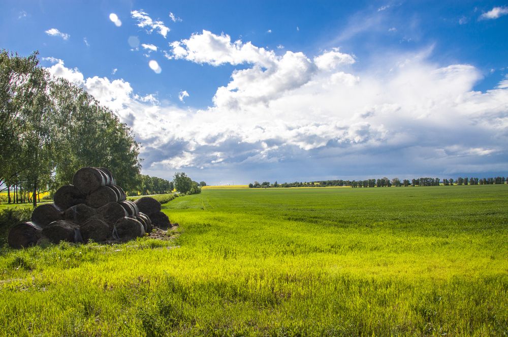 Перед дождём