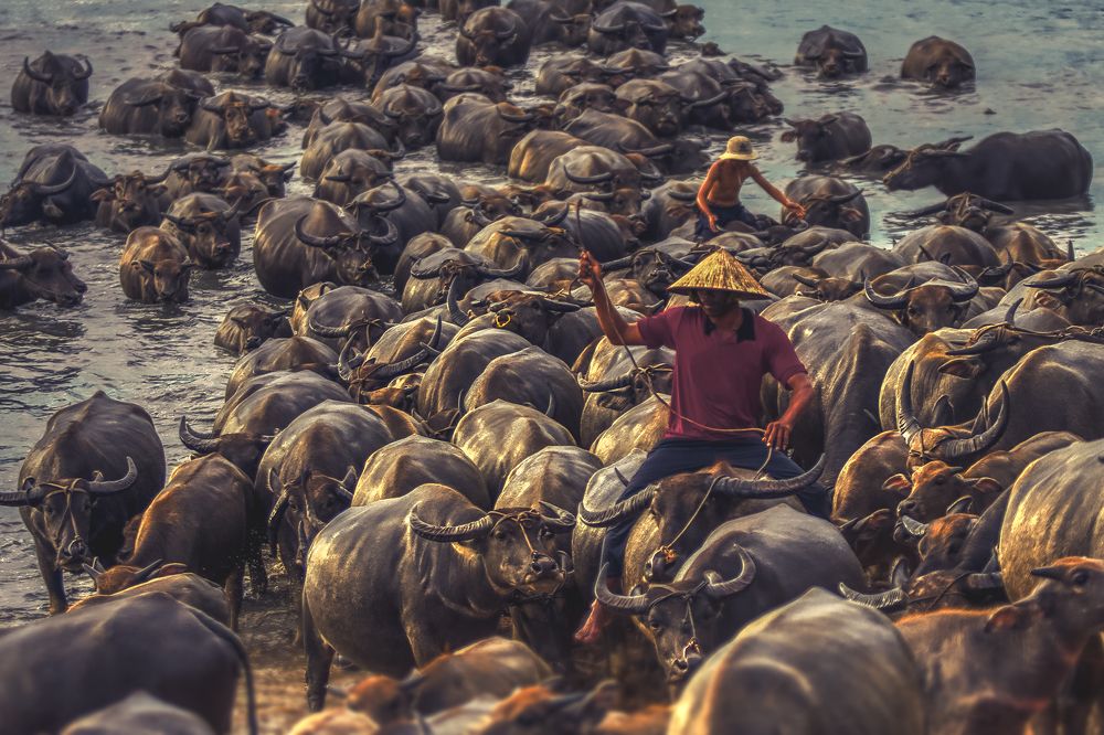 Photograph by Huy Văn Nguyễn