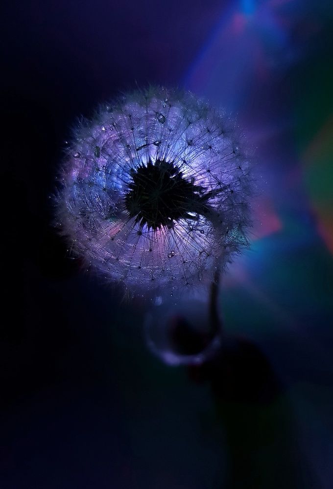 Photograph by Ольга Пумочка-13