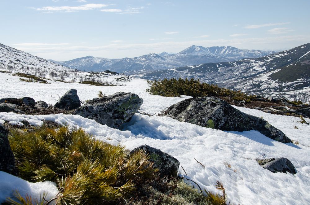 Photograph by Галина Проценко