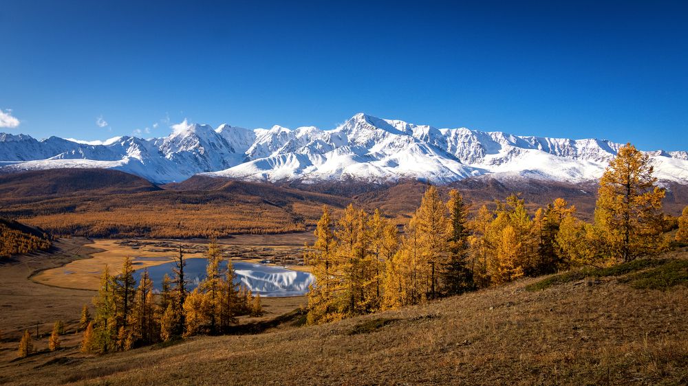 Фотография автора Александр Рудный