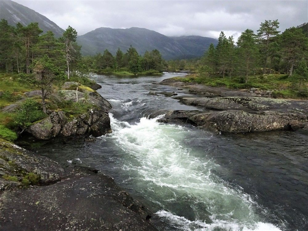 Photograph by Мила Милая