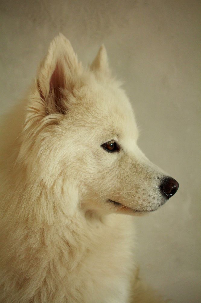 Photograph by Елена Змейкова