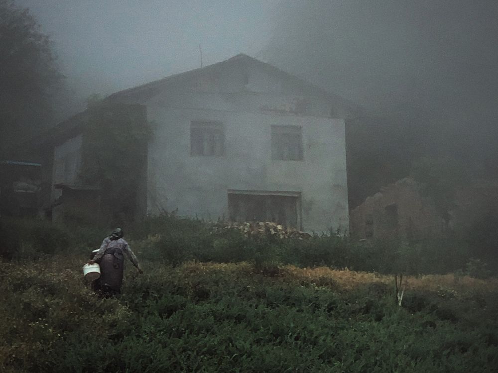 The old woman and the fog