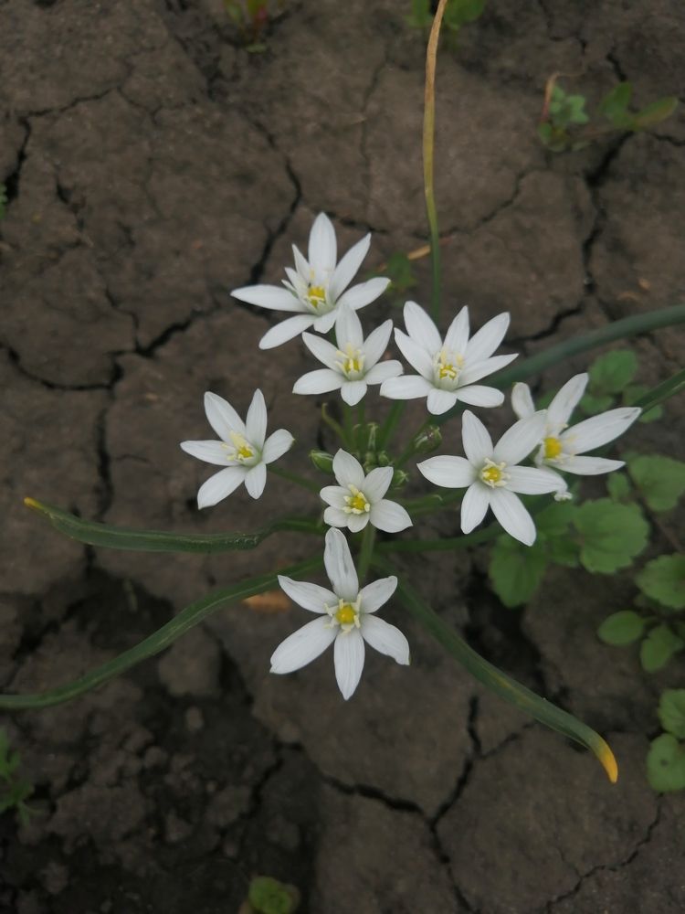 Photograph by Анна Володина