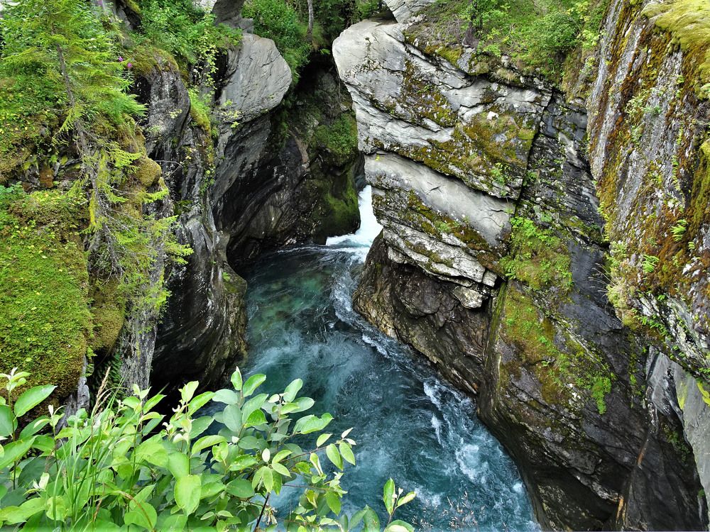 Photograph by Мила Милая