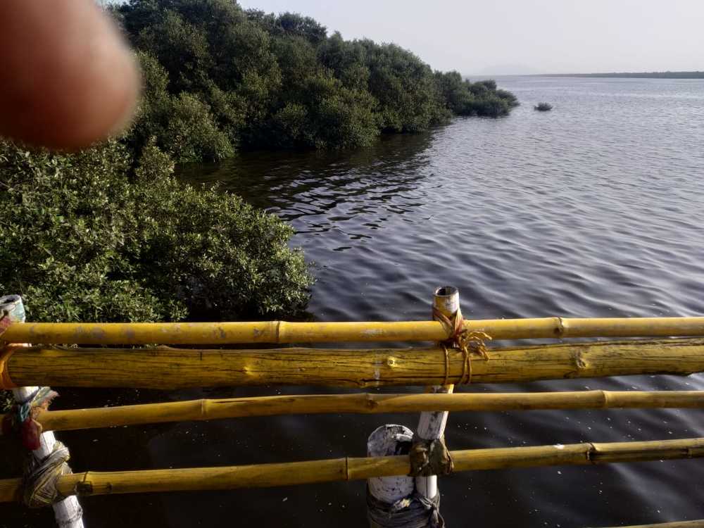 Photograph by Minakshi Dalui