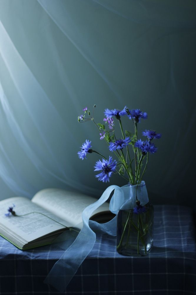 Photograph by Екатерина