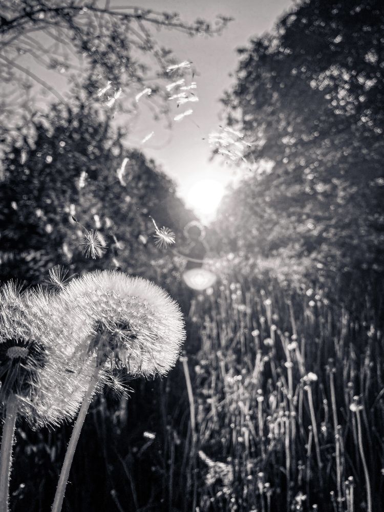 Photograph by Анна Гордеева