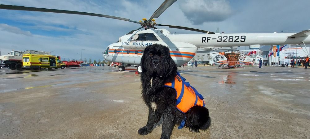 Photograph by Сергей Лашнев