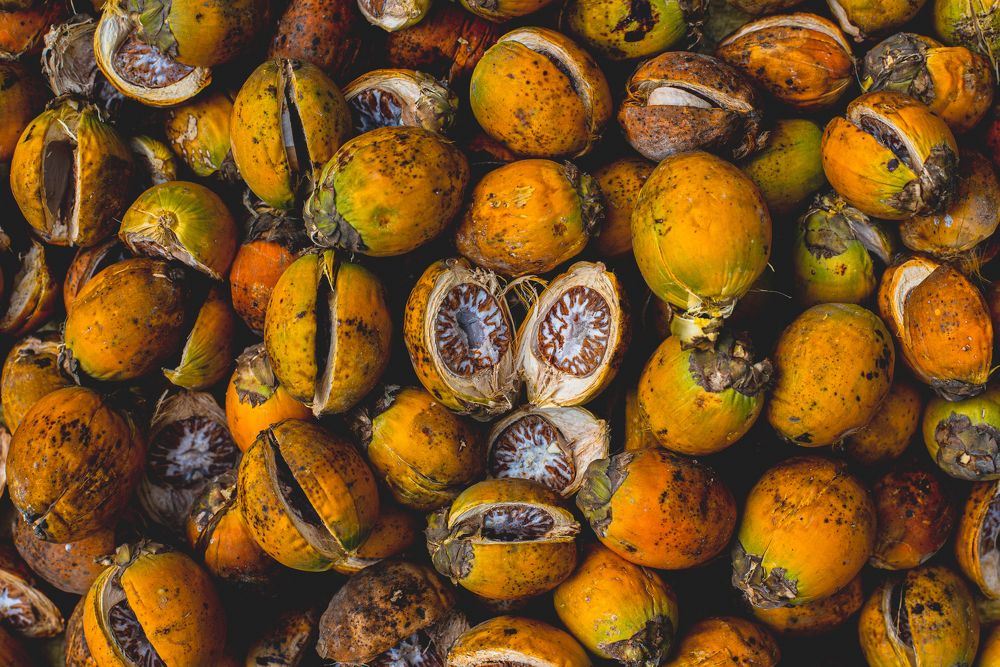 Фотография автора Utathya Roy