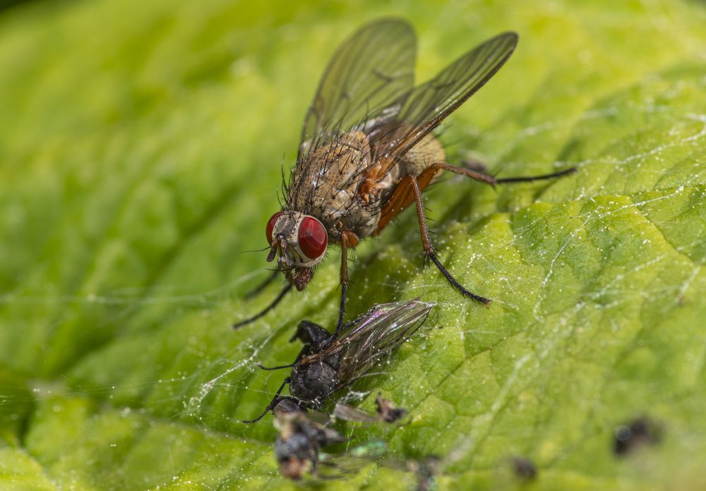 Photograph by Игорь Архипов