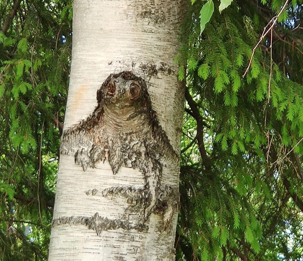 Photograph by Ирина Иванова