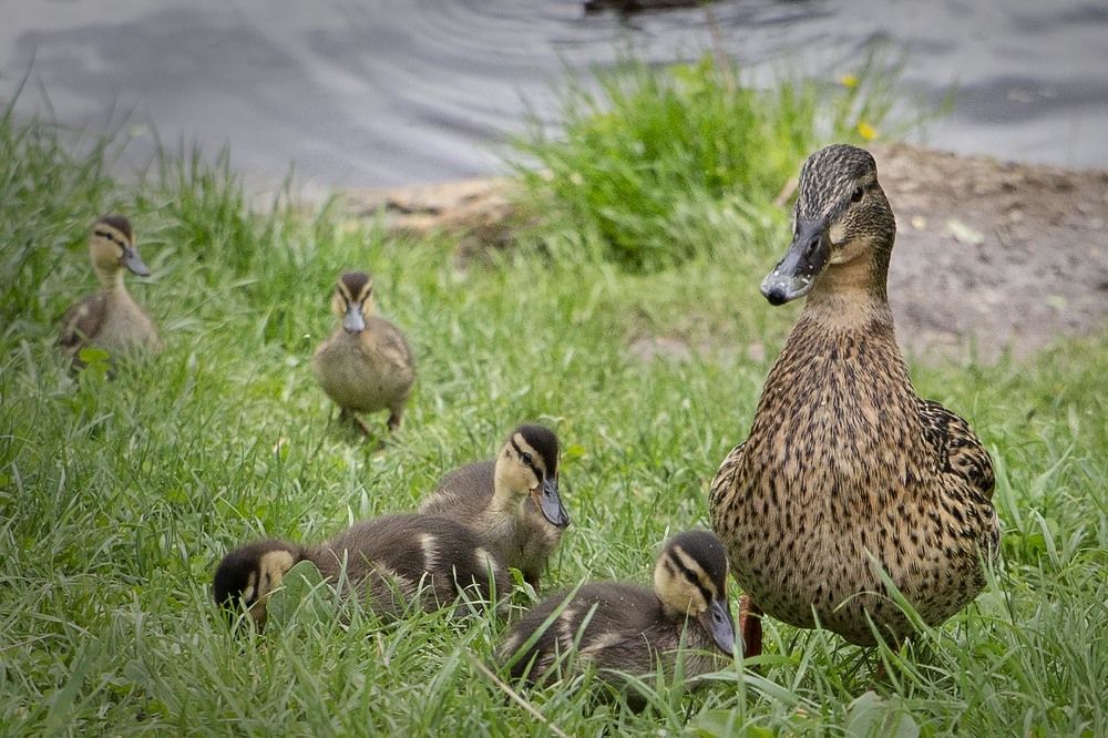 Photograph by Екатерина Рябинина