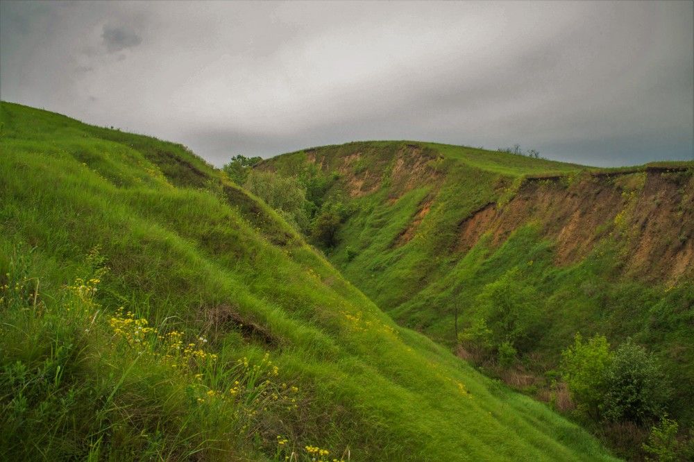 Photograph by Ирина Нагорная