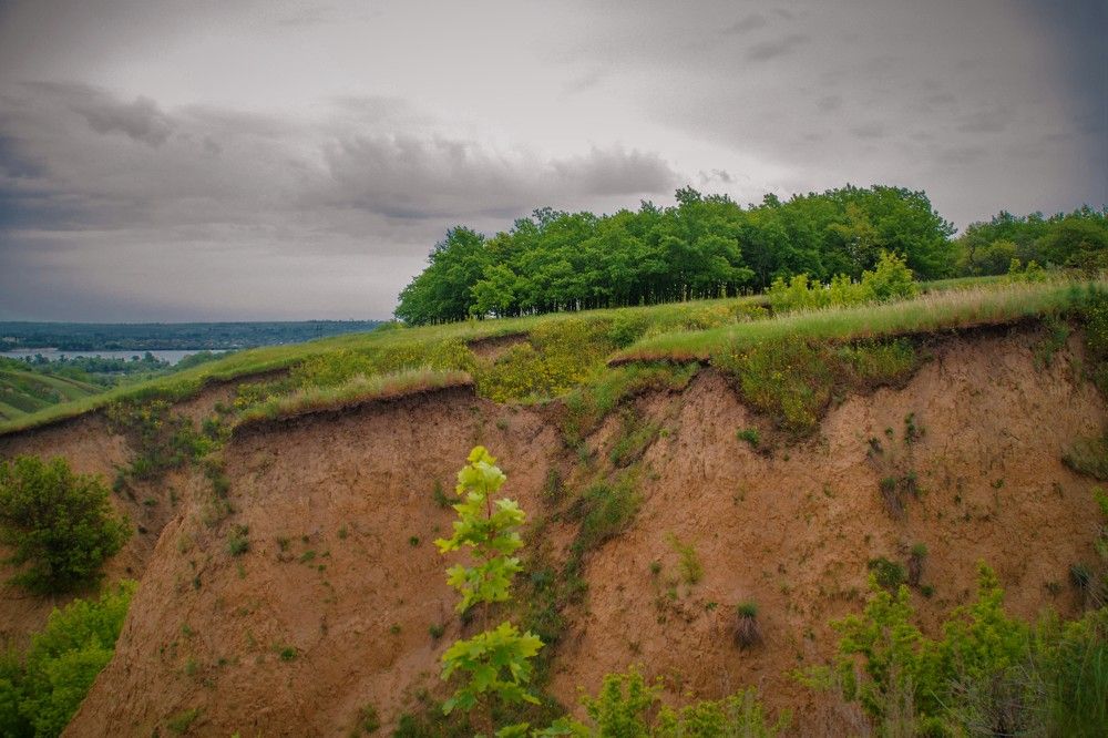 Photograph by Ирина Нагорная