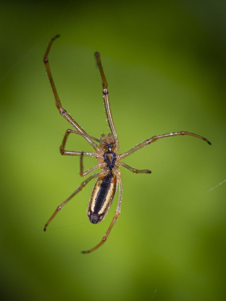 Photograph by Игорь Архипов