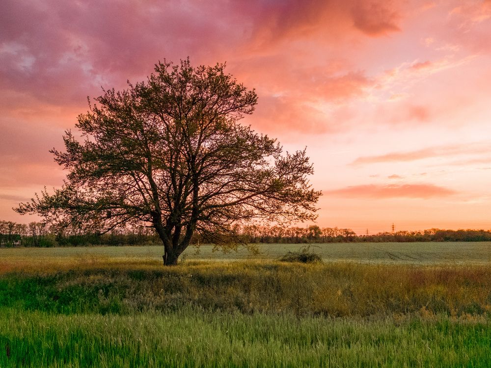 Вечерние краски