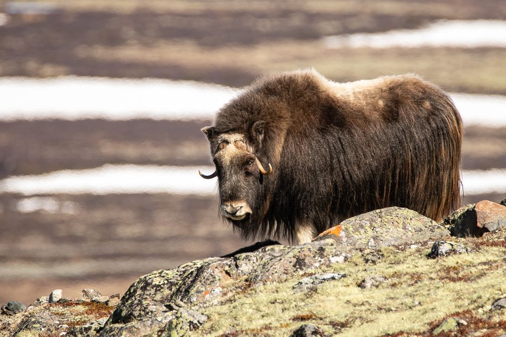 Photograph by Tomasz Slawinski