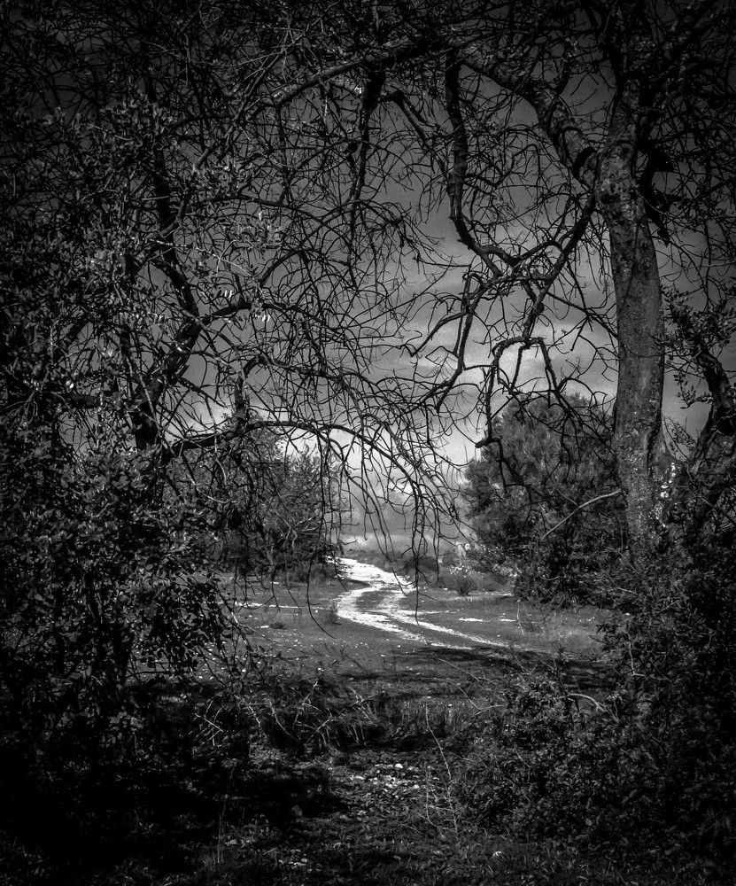 Photograph by Dmitry Skripachenko