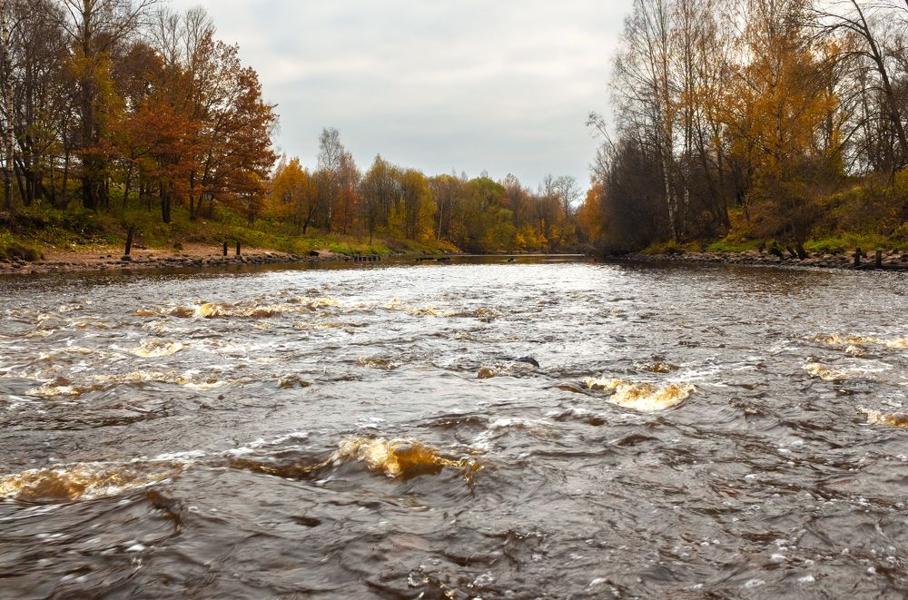 Photograph by Алексей Герасимов