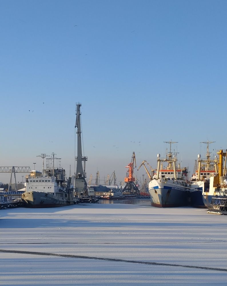 Калининградский порт