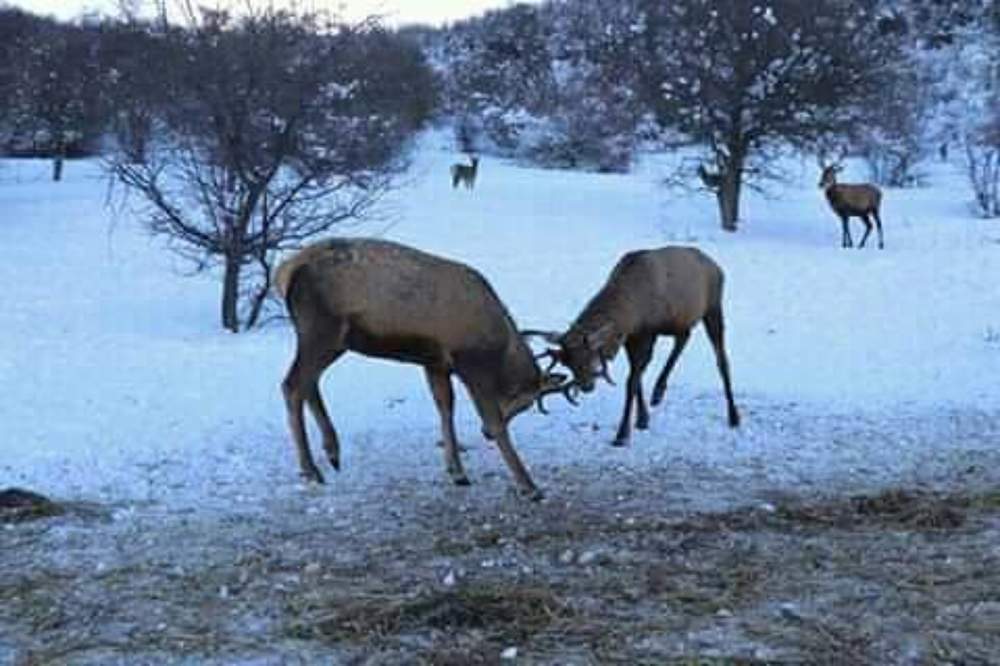 Фотография автора Александр Коновалов
