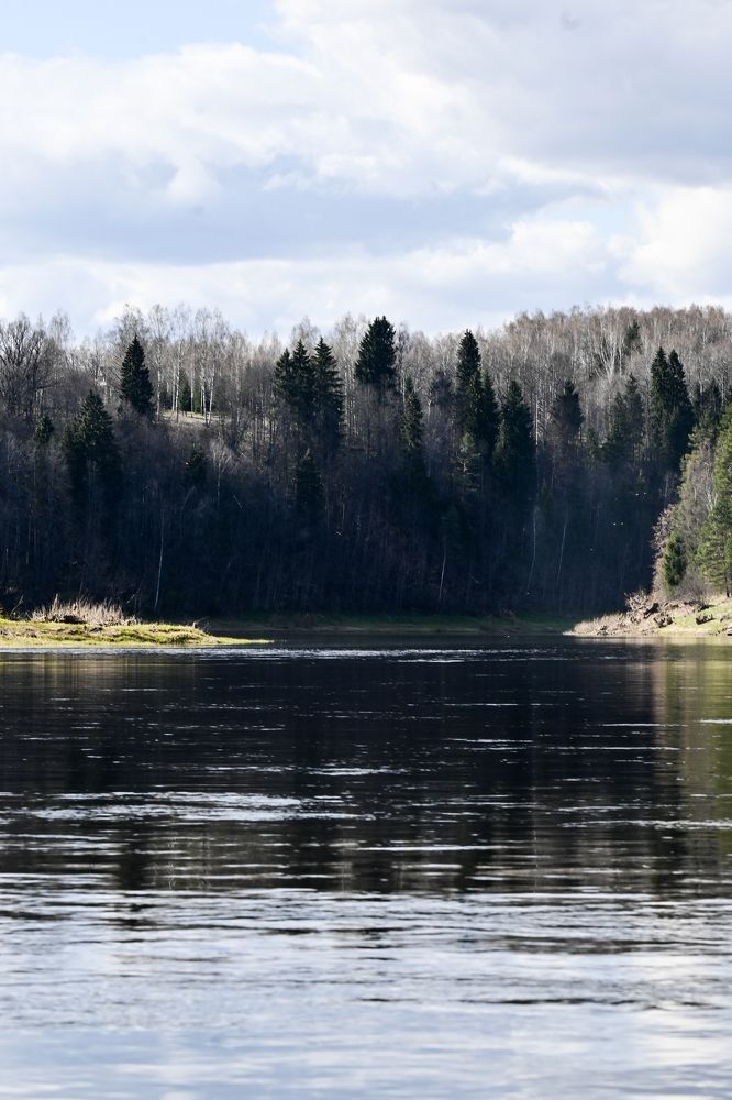 Photograph by Анастасия Долгова