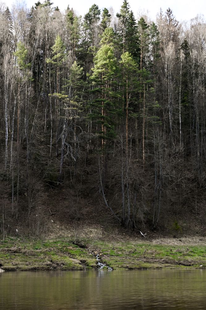 Photograph by Анастасия Долгова