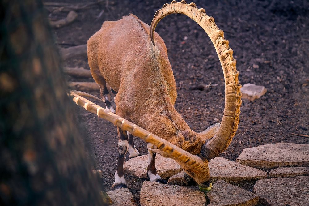 Photograph by Maxim Polak