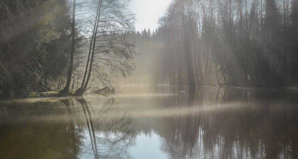 Photograph by Света и Вася