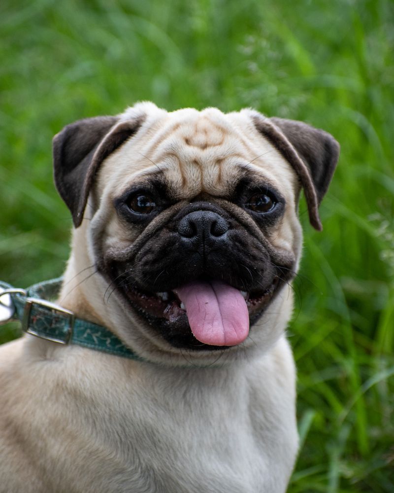 Photograph by Kumar Sharath