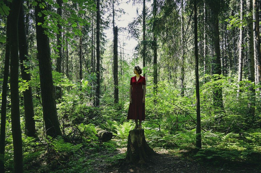 Photograph by Анастасия Броварник