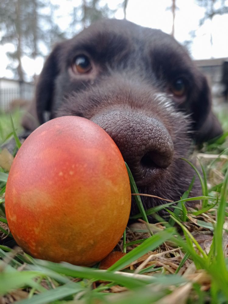 Photograph by Вигдис