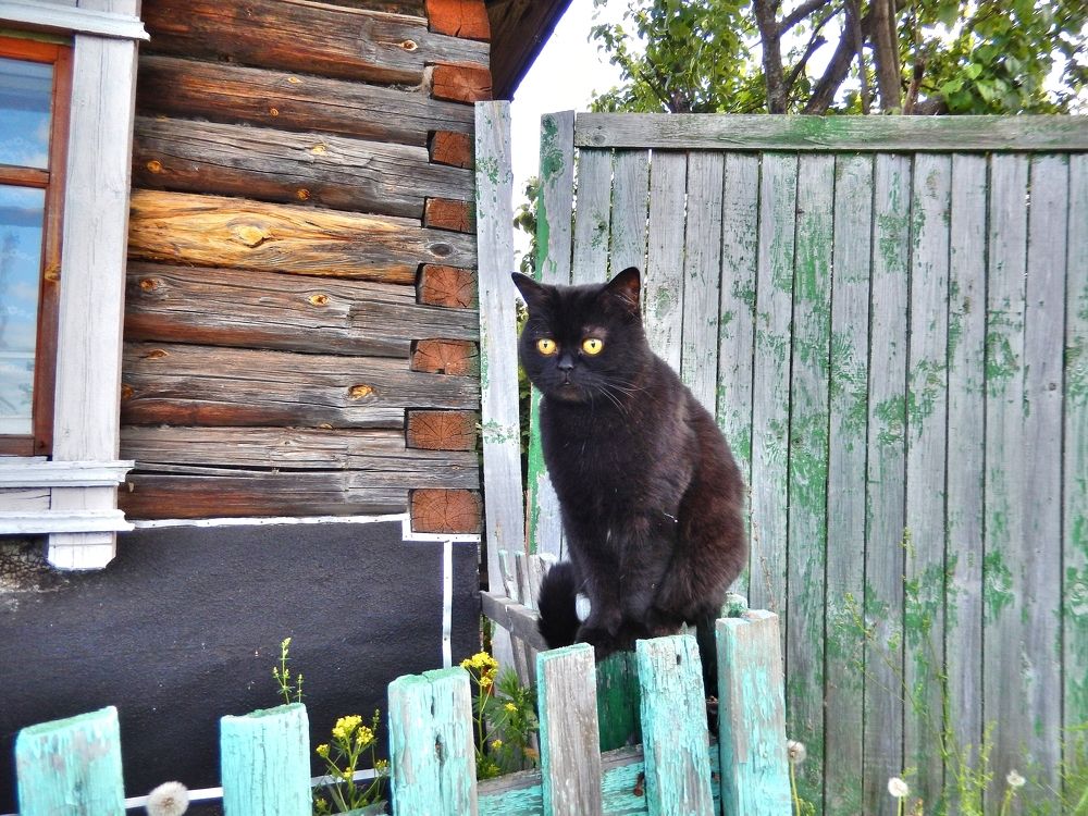 Фотография автора Клавдия Васильева