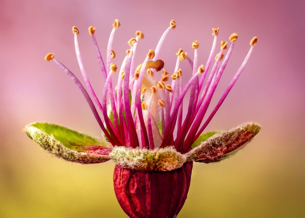 Photograph by Anas Shalash