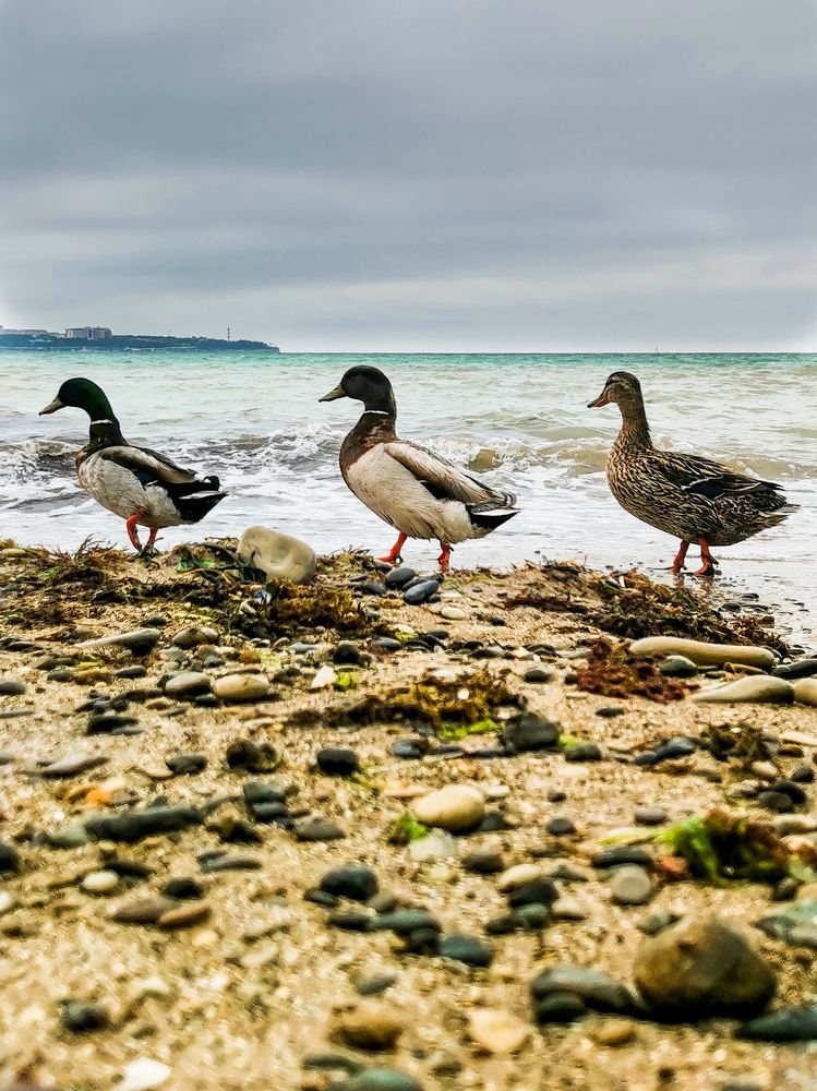 Photograph by Светлана Лобачева