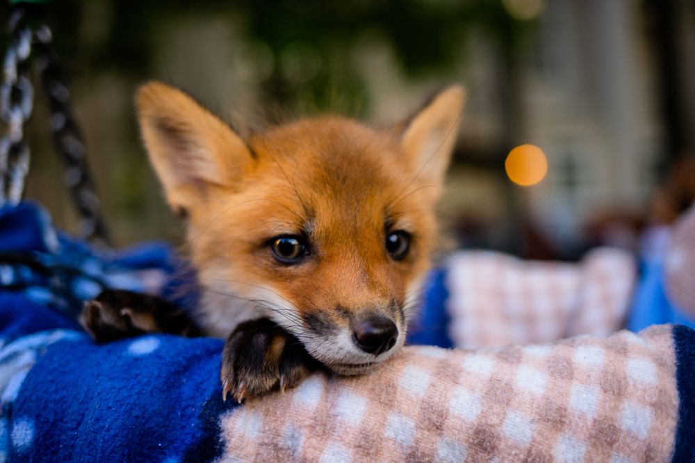 Photograph by Илья Лоскутов