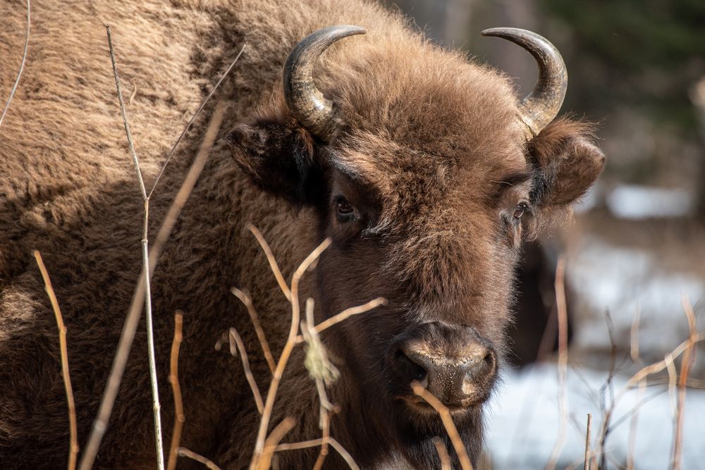 Photograph by ЕВГЕНИЙ РУДЕНКО