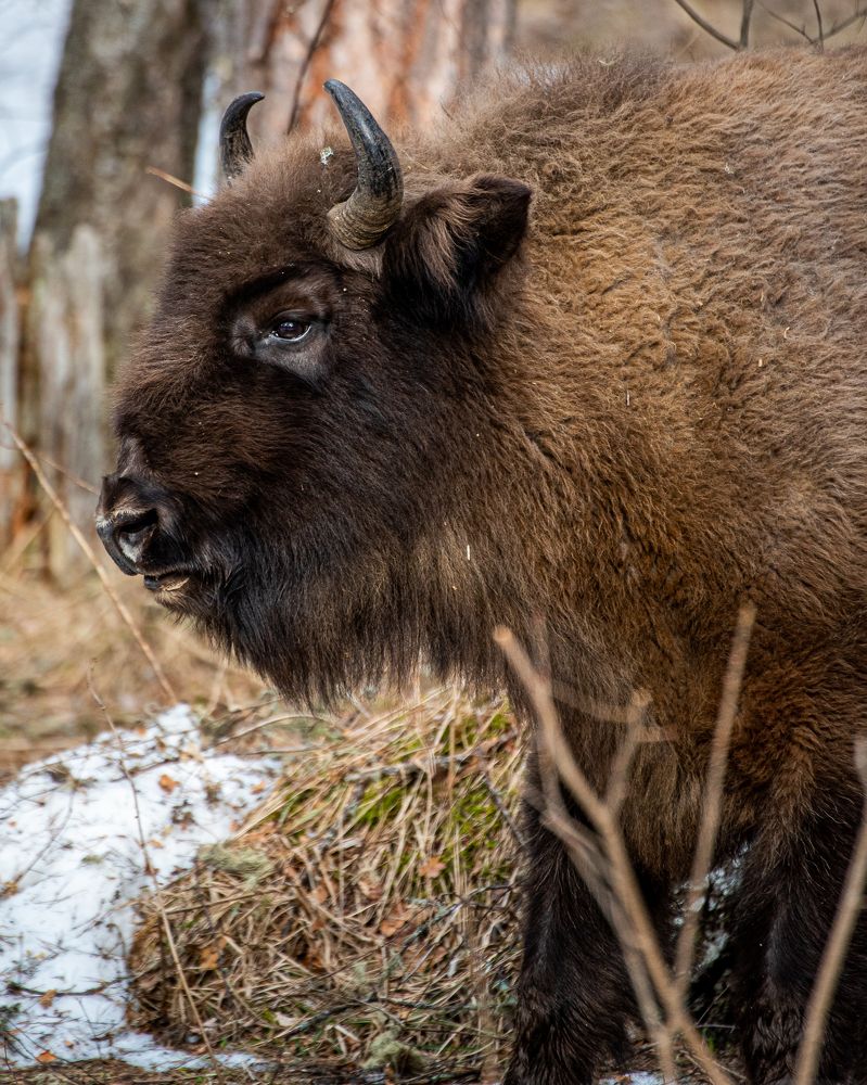 Photograph by ЕВГЕНИЙ РУДЕНКО